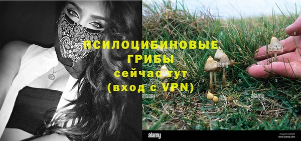 прущие крисы Абдулино