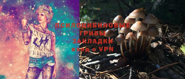 бошки Абинск