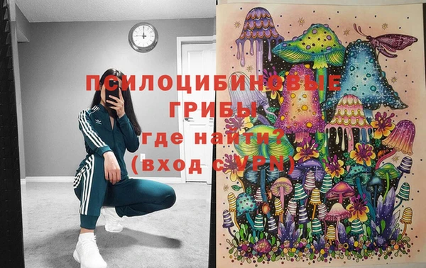 бошки Абинск