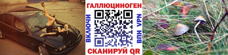 Галлюциногенные грибы Magic Shrooms Хилок